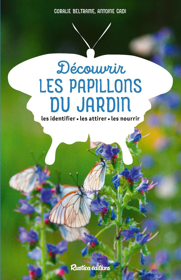 Découvrir les papillons du jardin - flash vidéo