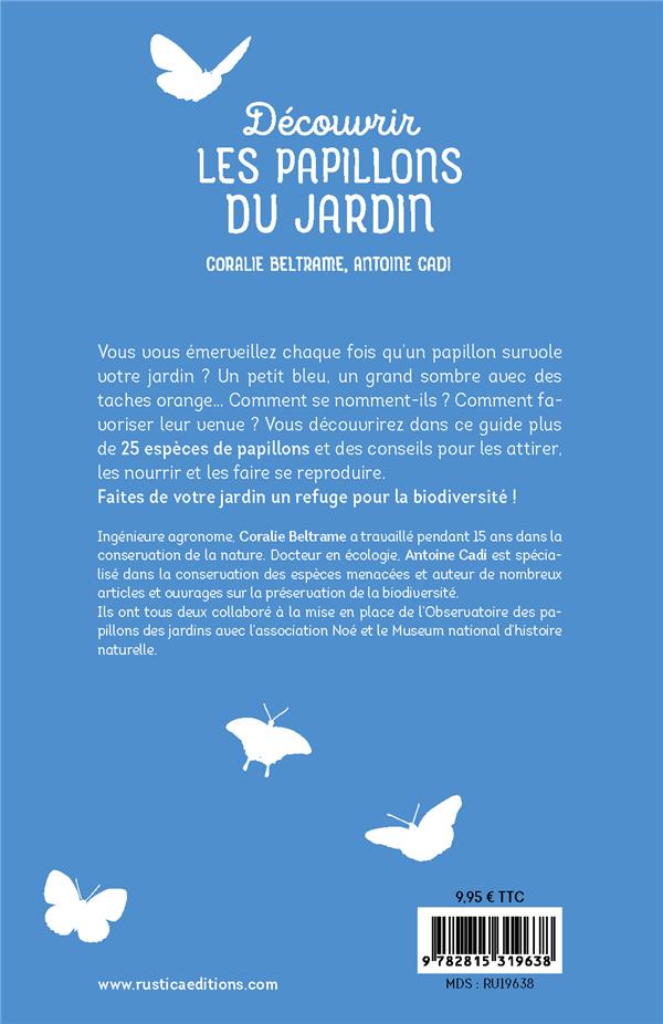 Découvrir les papillons du jardin
