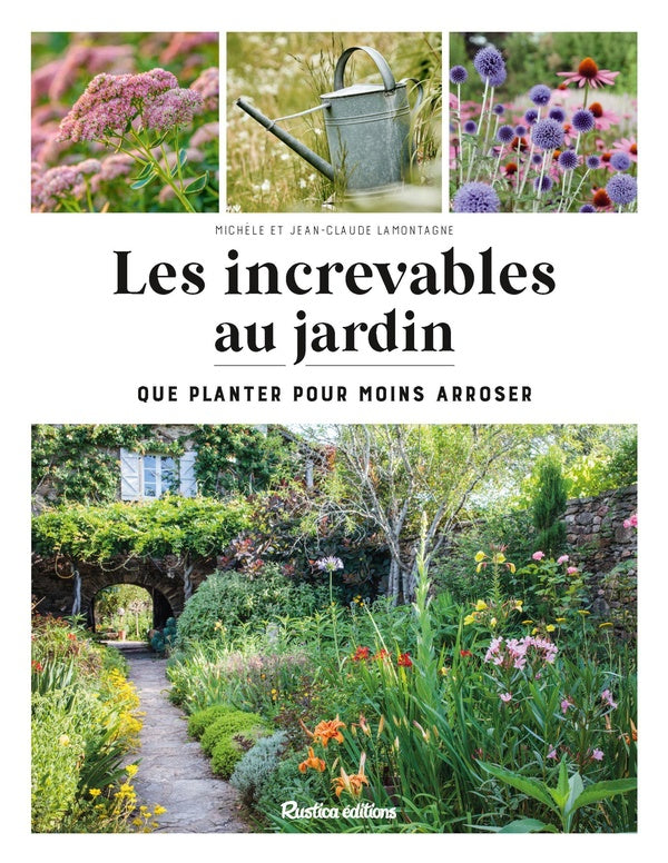 Les increvables au jardin : Que planter pour moins arroser - flash vidéo