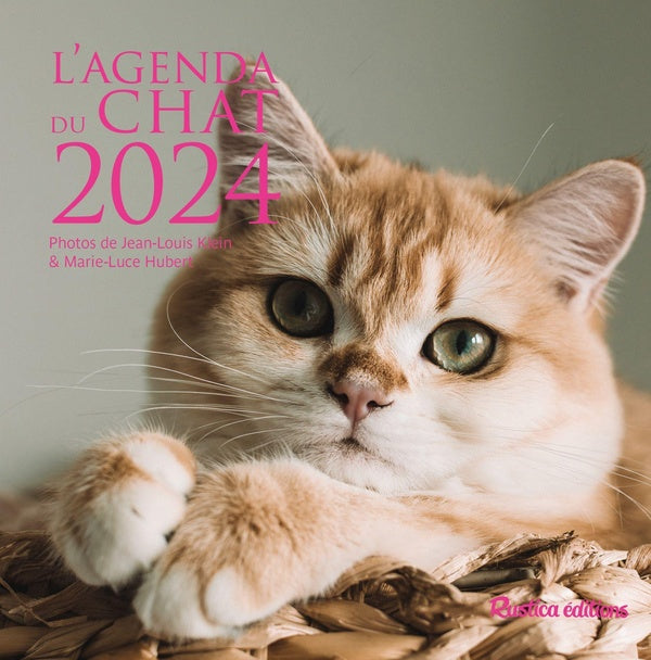 L'agenda du chat (édition 2024) - flash vidéo