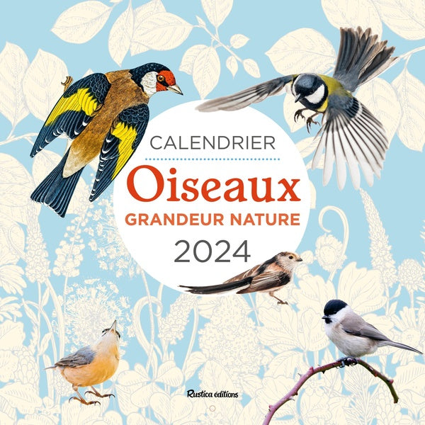 Calendrier mural oiseaux grandeur nature (édition 2024) - flash vidéo