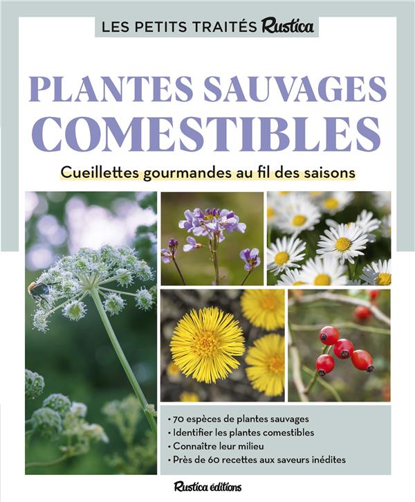 Plantes sauvages comestibles : Cueillettes gourmandes au fil des saisons