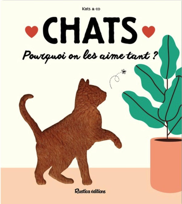 Chats : Pourquoi on les aime tant ? - flash vidéo