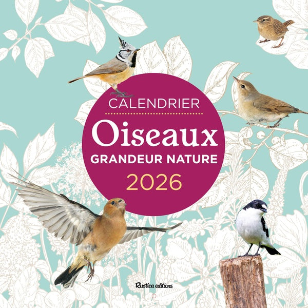 Calendrier Oiseaux grandeur nature (édition 2026)