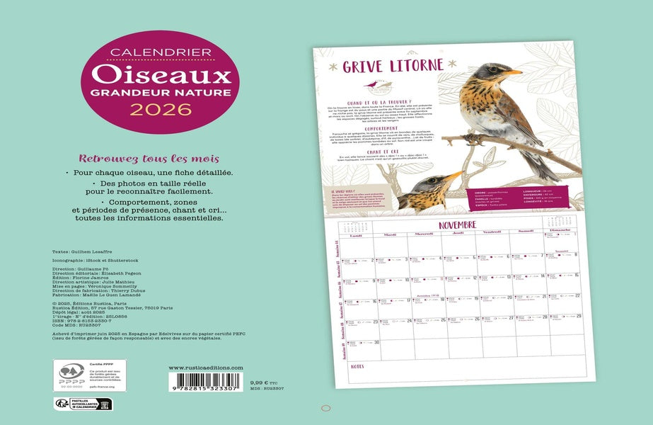 Calendrier Oiseaux grandeur nature (édition 2026)