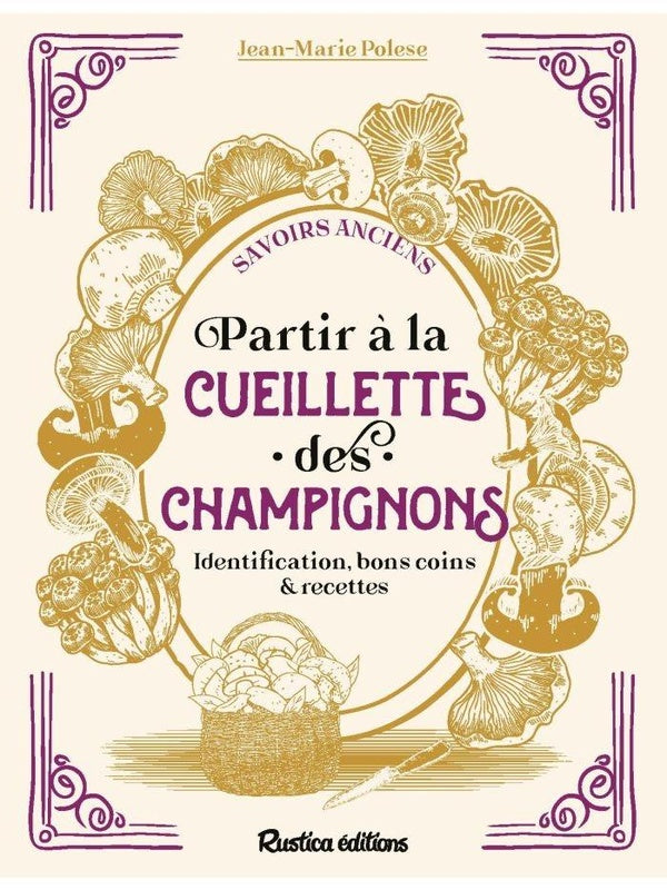 Partir à la cueillette des champignons