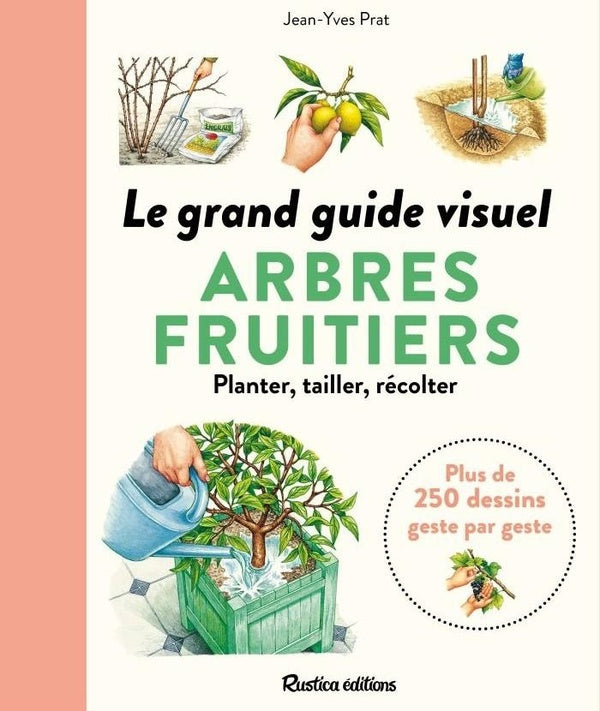 Le grand guide visuel des arbres fruitiers