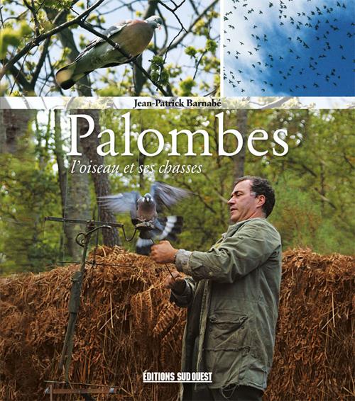 Palombes ; l'oiseau et ses chasses - flash vidéo