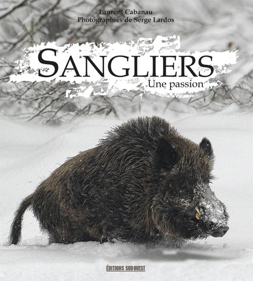 Sanglier - flash vidéo