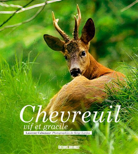 Chevreuil
