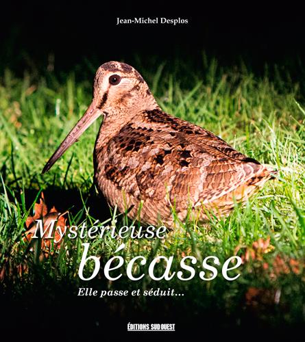 Mystérieuse bécasse - flash vidéo