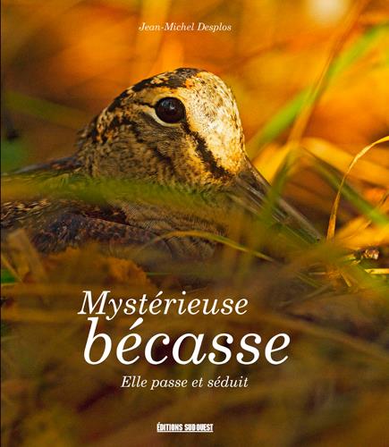 Mystérieuse bécasse ; elle passe et séduit