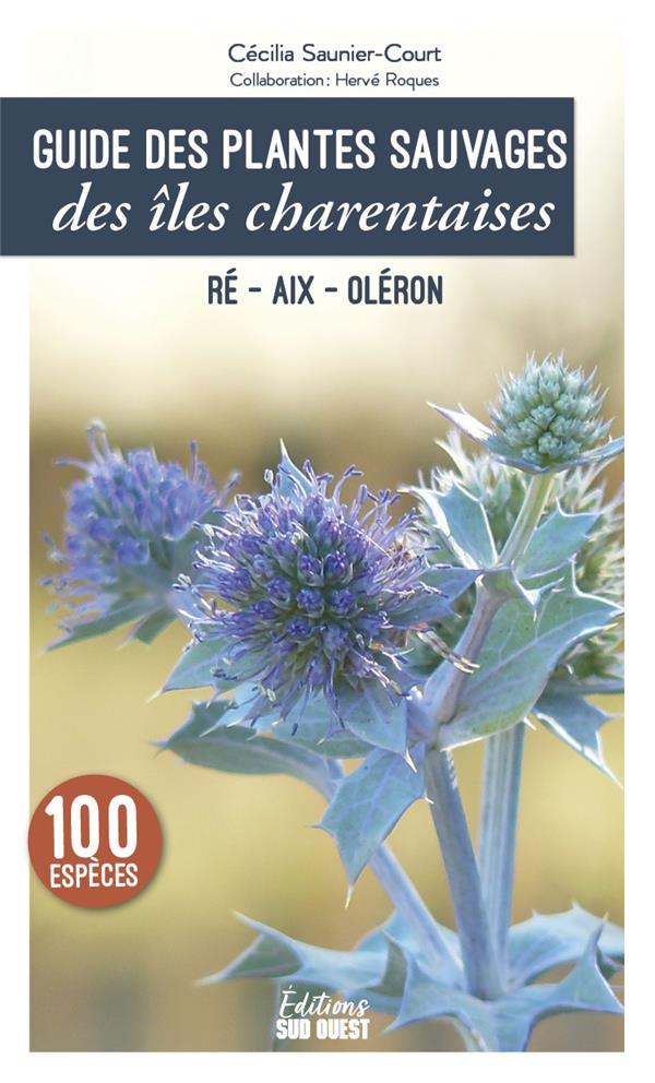 Guide des plantes sauvages des îles charentaises : Ré, Aix, Oléron - flash vidéo
