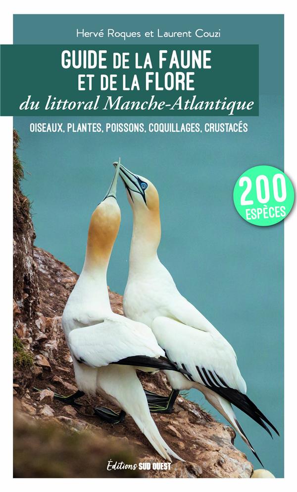 Guide de la faune et de la flore du littoral Manche-Atlantique : Oiseaux, plantes, poissons, coquillages, crustacés