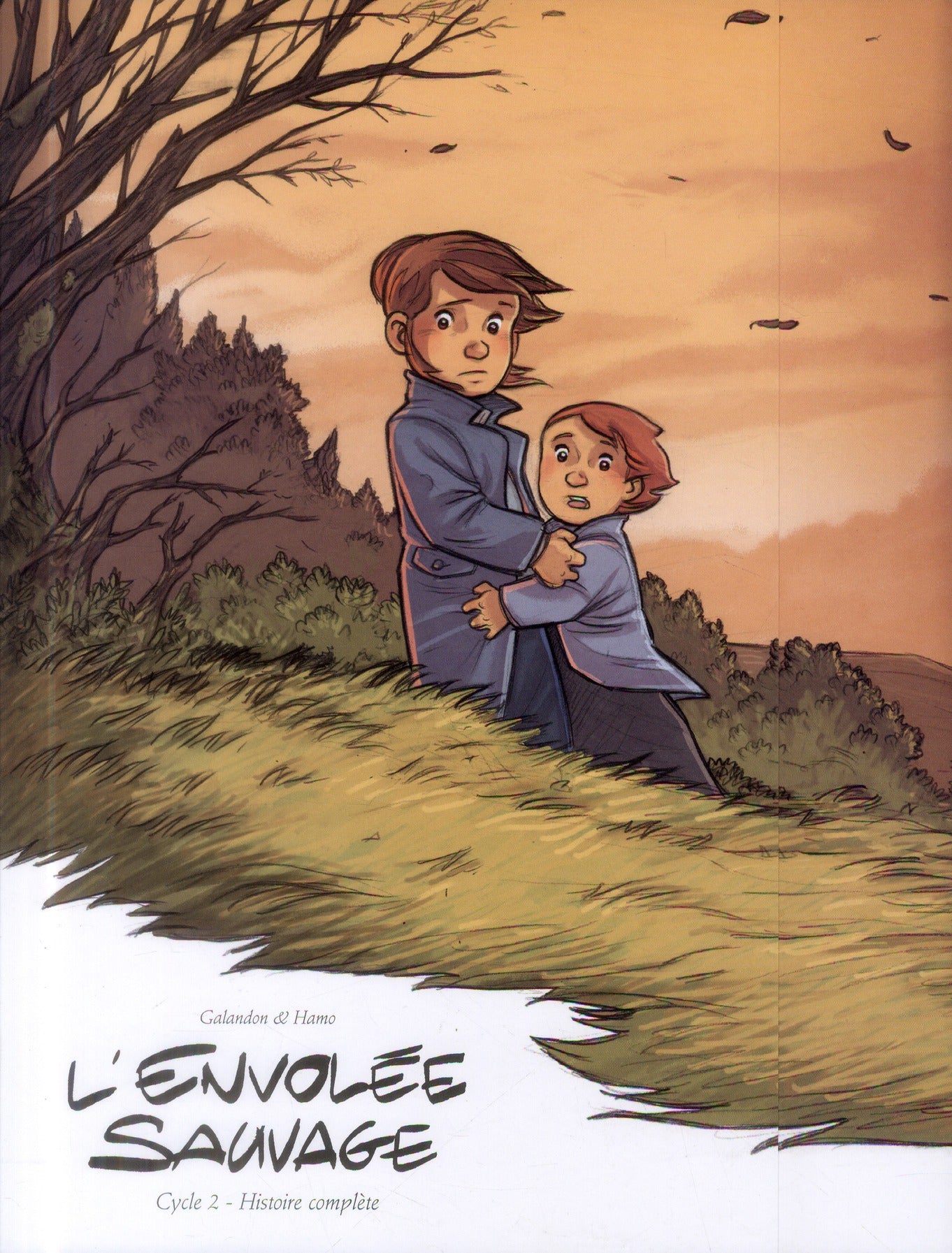 L'envolée sauvage : coffret vol.2 : Tomes 3 et 4