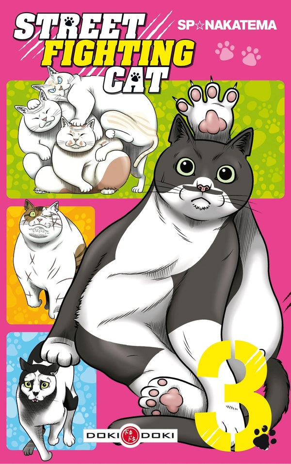 Street fighting cat Tome 3