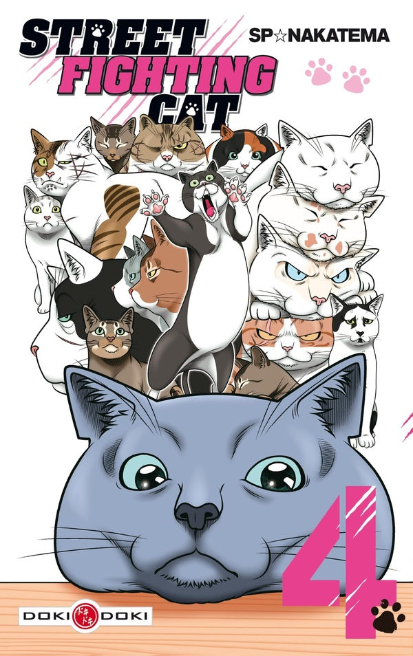 Street fighting cat Tome 4