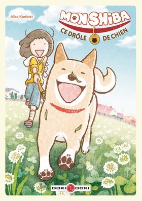 Mon shiba, ce drôle de chien