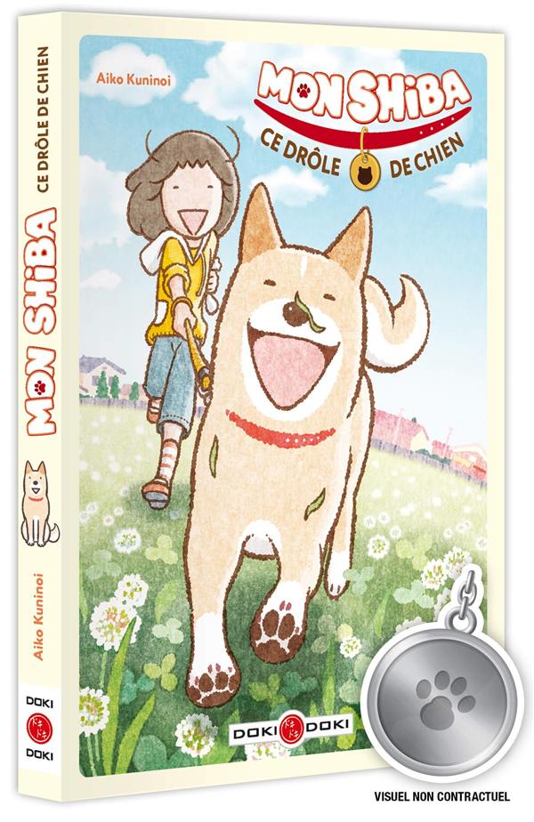 Mon Shiba, ce drôle de chien