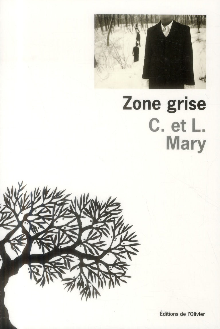 Zone grise