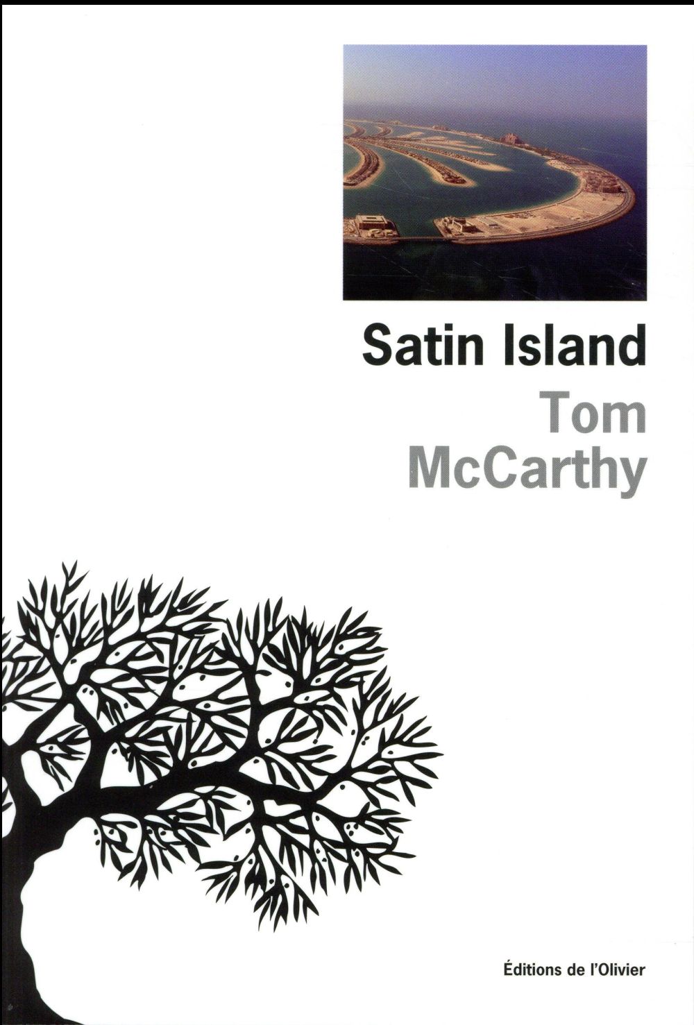 Satin Island