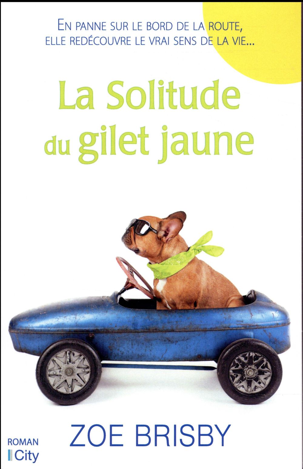La solitude du gilet jaune