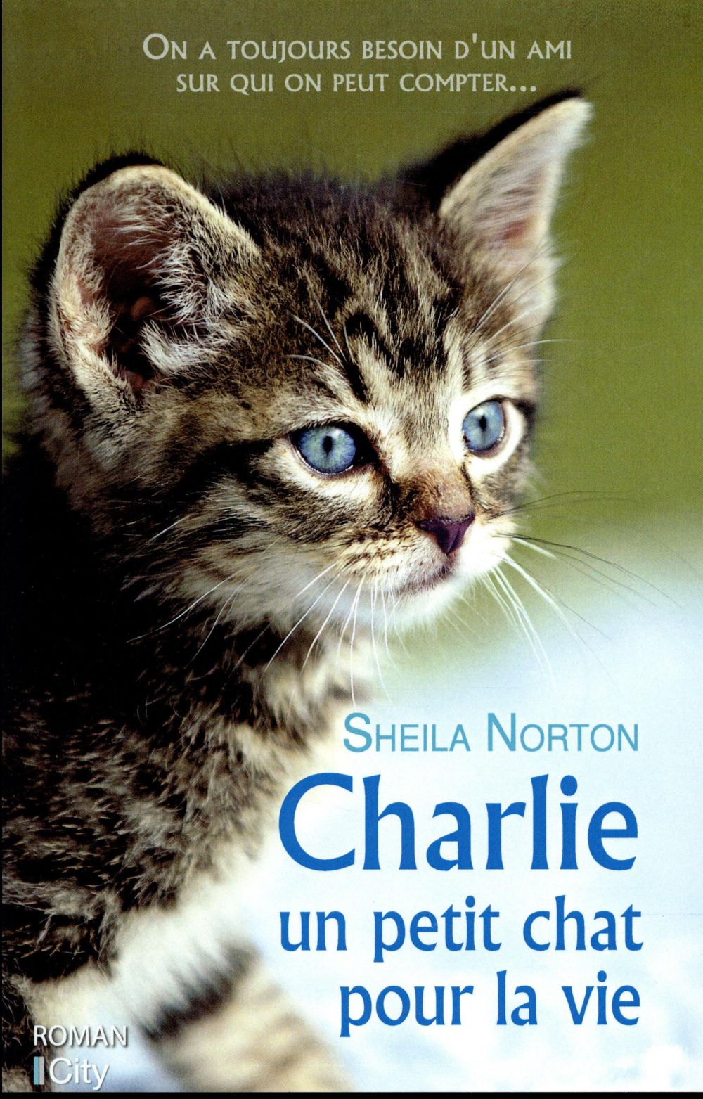 Charlie, un petit chat pour la vie