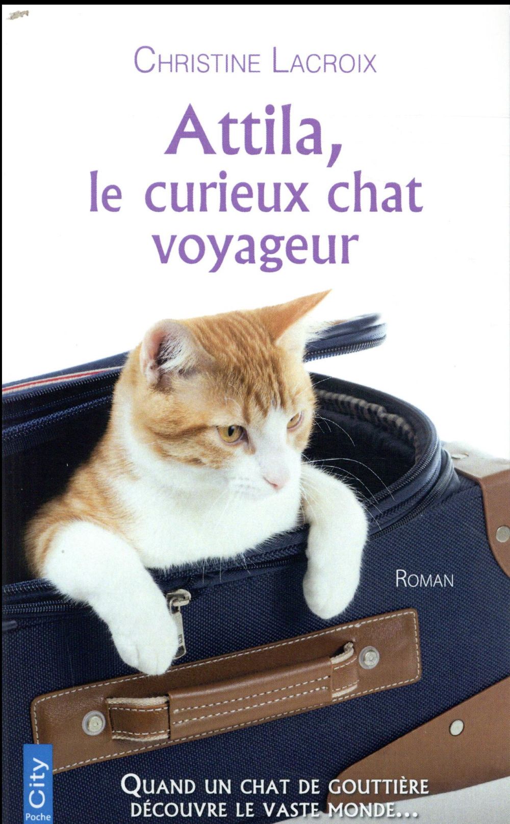 Attila, le curieux chat voyageur