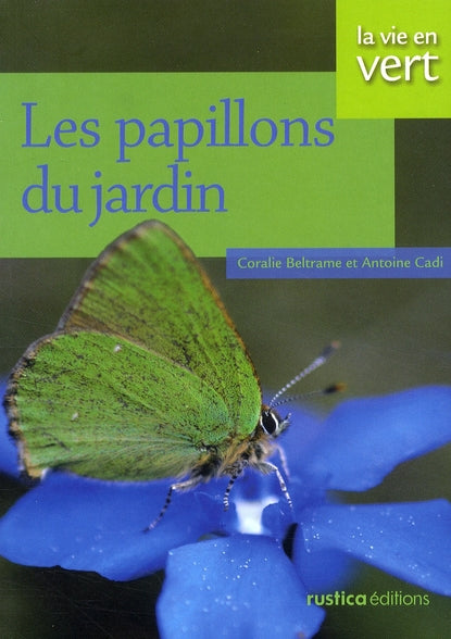 Les papillons du jardin - flash vidéo