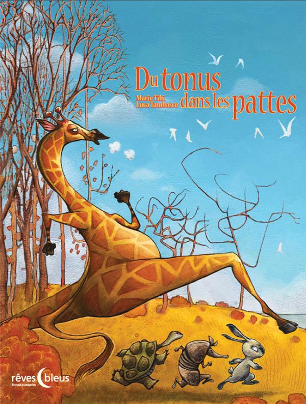 Du tonus dans les pattes - flash vidéo