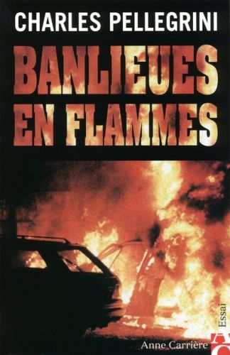 Banlieues en flammes - flash vidéo