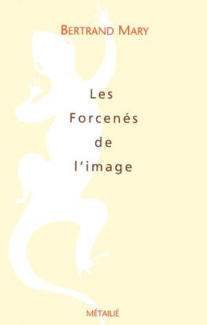 Les forcenés de l'image - flash vidéo