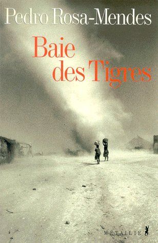 Baie des tigres - flash vidéo