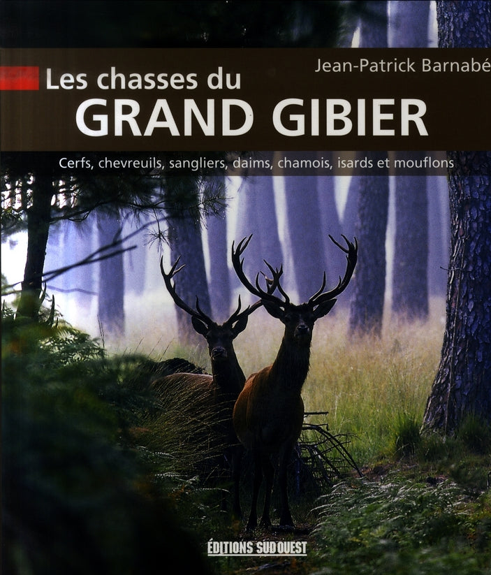 Les chasses du grand gibier - flash vidéo
