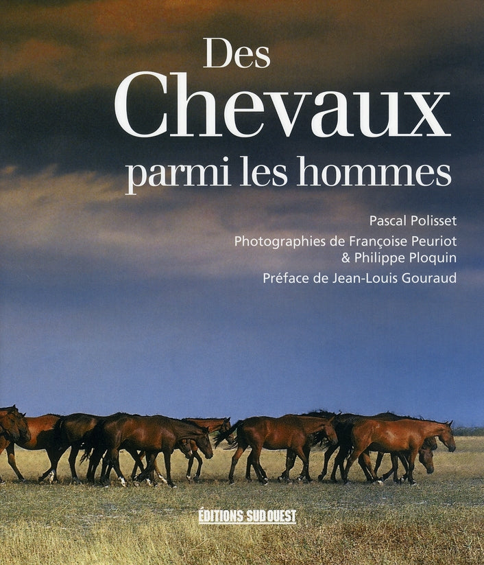 Des chevaux parmi les hommes - flash vidéo