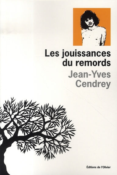Les jouissances du remords - flash vidéo