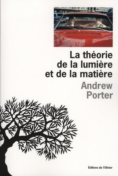 Théorie de la lumière et de la matière