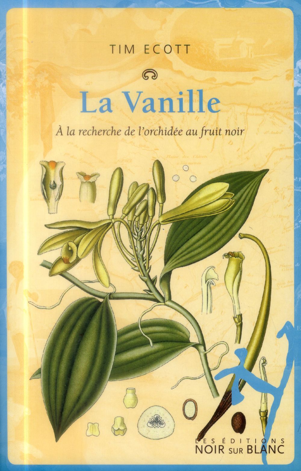 La vanille ; à la recherche de l'orchidée au fruit noir