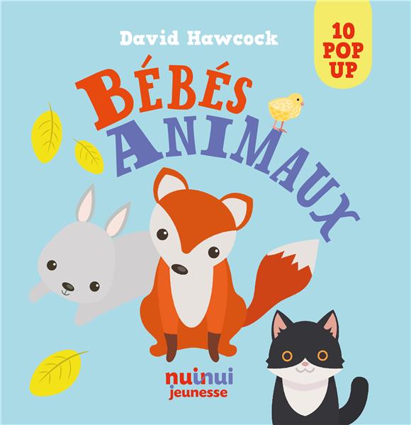 Saisissants pop-up : bébés animaux - flash vidéo