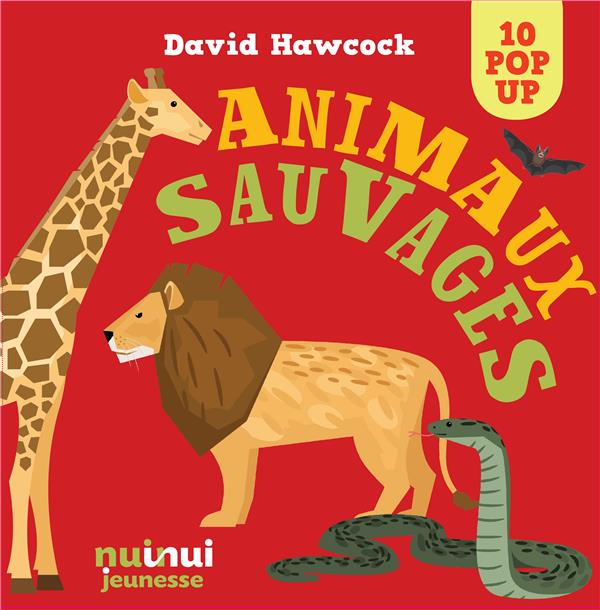 Saisissants pop-up : animaux sauvages - flash vidéo