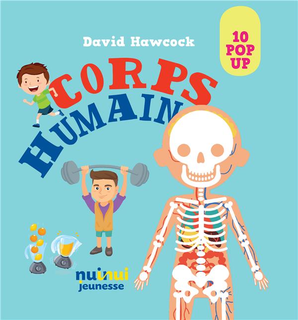 Saisissants pop-up : corps humain - flash vidéo