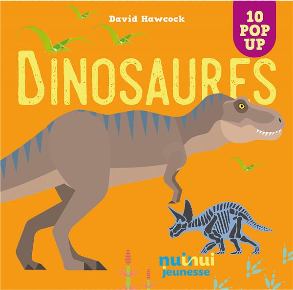 Saisissants pop-up : dinosaures - flash vidéo