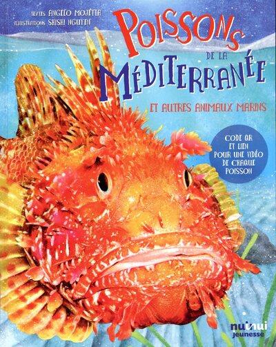 Poissons de la Méditerranée et autres animaux marins - flash vidéo