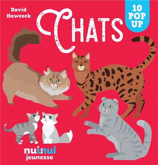 Saisissants pop-up : chats - flash vidéo