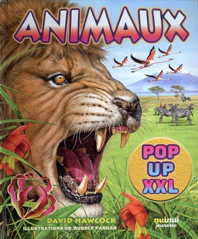 Pop-up XXL : animaux - flash vidéo