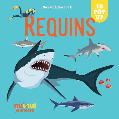 Saisissants pop-up : requins - flash vidéo