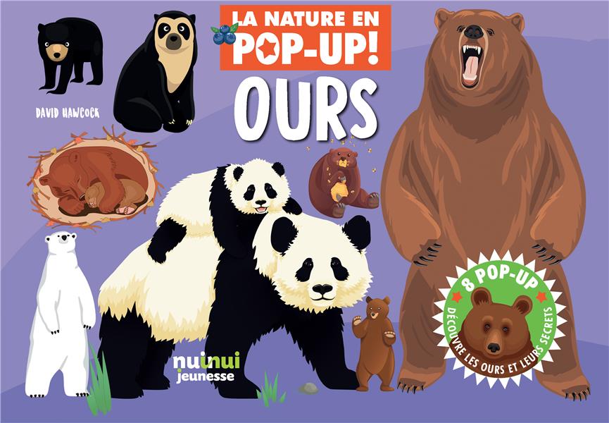 La nature en pop-up ! : ours - flash vidéo