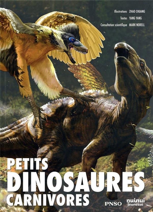 Petits dinosaures carnivores PNSO - flash vidéo
