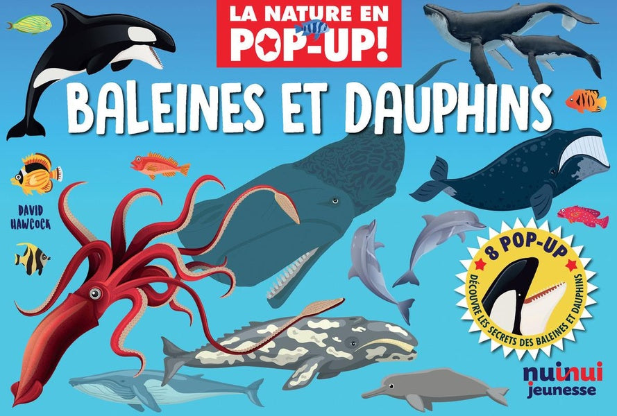 La nature en pop-up ! : Baleines et dauphins