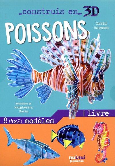 Construis en 3D : poissons - flash vidéo